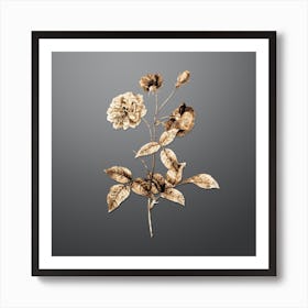 Gold Botanical China Rose on Soft Gray n.3722 Art Print