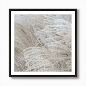 White Beige Boho Dreams Pampas Square Art Print