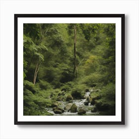 Stream In The Jungle Art Print