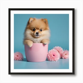 Pomeranian Puppy In A Flower Pot Art Print