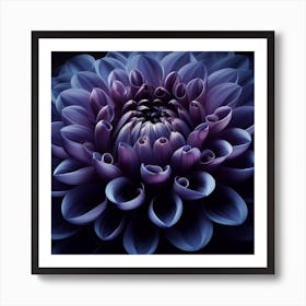 Purple Dahlia Art Print