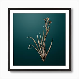 Gold Botanical Bermudiana on Dark Teal n.4703 Art Print