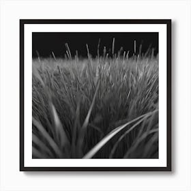 Grassy Field Art Print