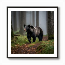 Black Bear In The Forest Art Print