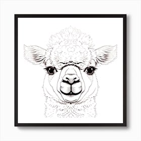 Llama Head Drawing Art Print