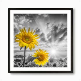 Focus On Two Sunflowers Art Print