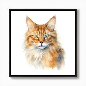 Somali Cat Portrait 1 Art Print