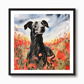 Black Greyhound portrait in Poppy Field Art Print