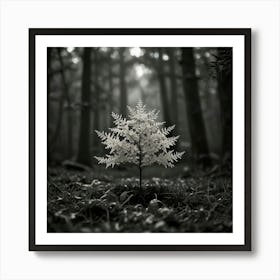 Tree In The Forest 2 Art Print