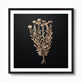 Gold Botanical Globe Daisies on Wrought Iron Black Art Print