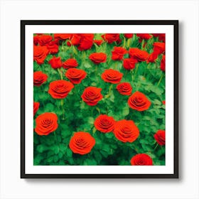 A Radiance of Red and Green Art Print