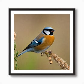 Blue Tit 65 Art Print