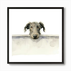 Scottish Deerhound Affiche