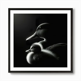 Mother Duck And Duckling Poster