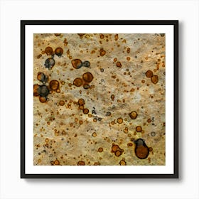 Abstraction Dried Water In The Desert Art Print