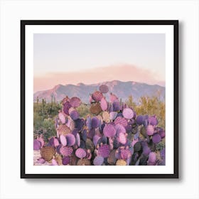 Purple Desert Cactus Art Print