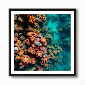 Coral Reef In The Red Sea 2 Art Print