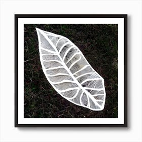 Leaf Art 1 Art Print