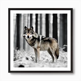 Wolf In The Woods 1 Art Print