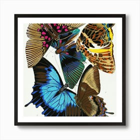 Butterflies Of The World 3 Art Print