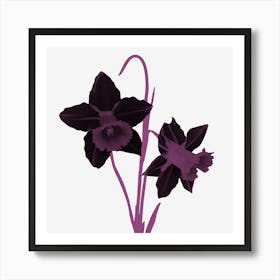 Purple Daffodils Art Print