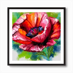 Poppy Beauty Affiche