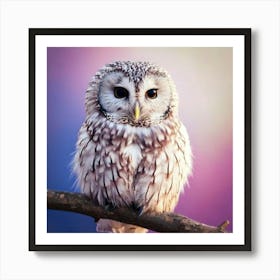 Firefly Owl, Soft, Peaceful, Smile, White, Wings, Down, Black, Big Eyes, Perched, Twig, Bokeh, Pink, (3) Art Print