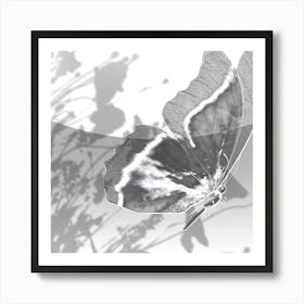 Butterfly Art Print