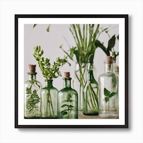 Glass Bottles With Plants Art Print