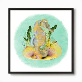 Seahorse/Hyppocampe Art Print