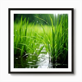 Grass Plant Reed Green Background Nature Closeup Garden Flora Growth Leaf Summer Spring (1) Art Print