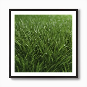 Close Up Of Green Grass 2 Art Print