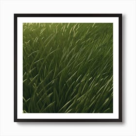 Grassy Field 1 Art Print