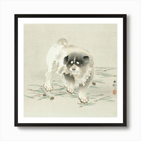 Young Dog (1900 1930), Ohara Koson Art Print