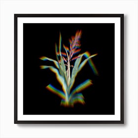 Prism Shift Pitcairnia Bromeliaefolia Botanical Illustration on Black n.0440 Art Print