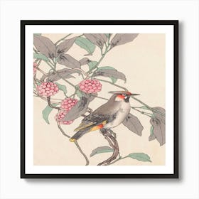 Chinese Woodpecker Art Print