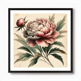 Peony Art Print Art Print