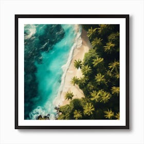 Aerial View Of A Tropical Beach Art Print