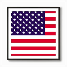 American Flag Art Print