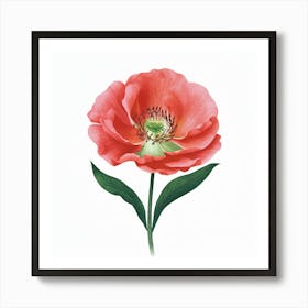 Red Poppy Art Print