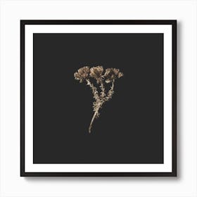 Gold Fynbos Botanicals Square Art Print