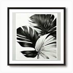 Black And White Tropical Leaves Print Art Print