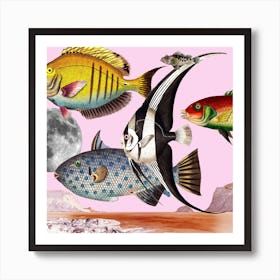 Fish World Pink Square Art Print