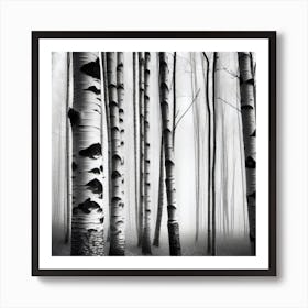 Birch Trees In The Fog Art Print