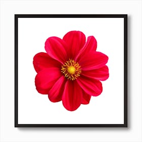 Red flower design Art Print