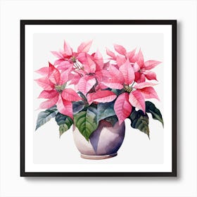 Poinsettia In A Pot 3 Poster