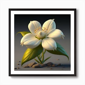 Jasmine Flower 2 Art Print