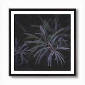 Dark Leaves 2 Square Art Print