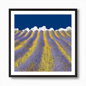 Lavender Heaven Art Print