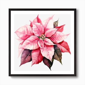 Poinsettia 28 Art Print